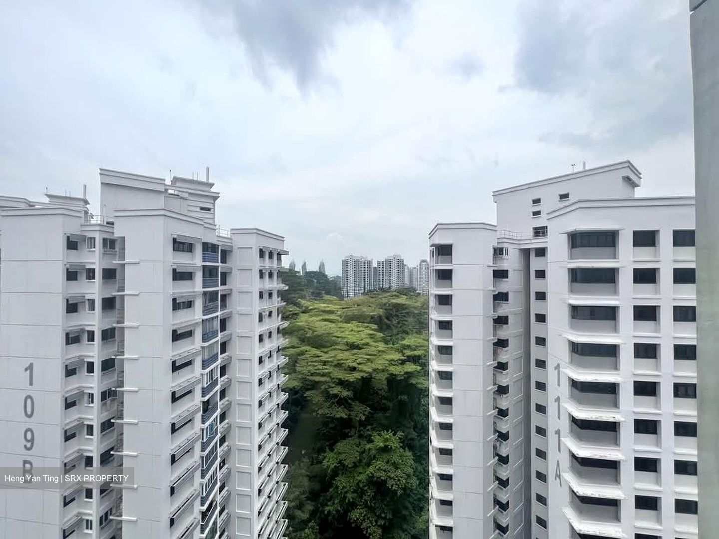 Blk 110A Depot Heights (Bukit Merah), HDB 4 Rooms #568065871